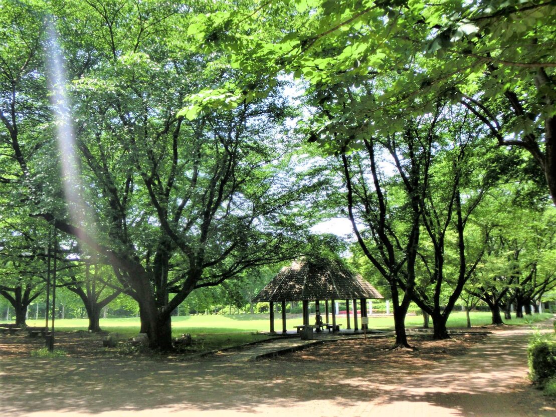 1農林公園 (1)