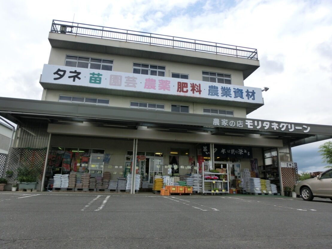 1モリタネグリーン