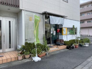 fuji_1