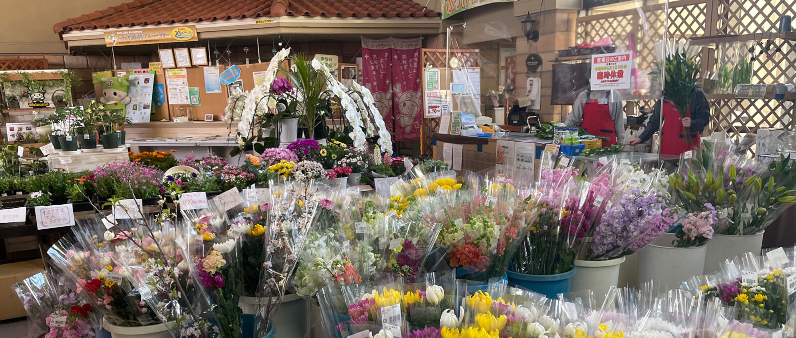 marketmainimage-furoru