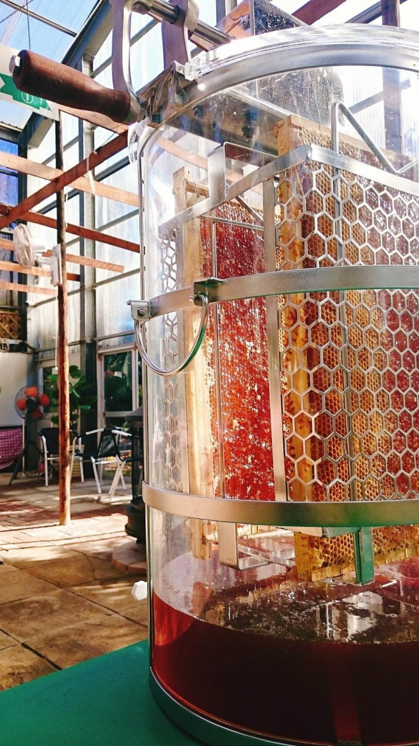 ねぎ畑でとれたはちみつ　生絞り体験/試食＆デモンストレーション｜花園養蜂場