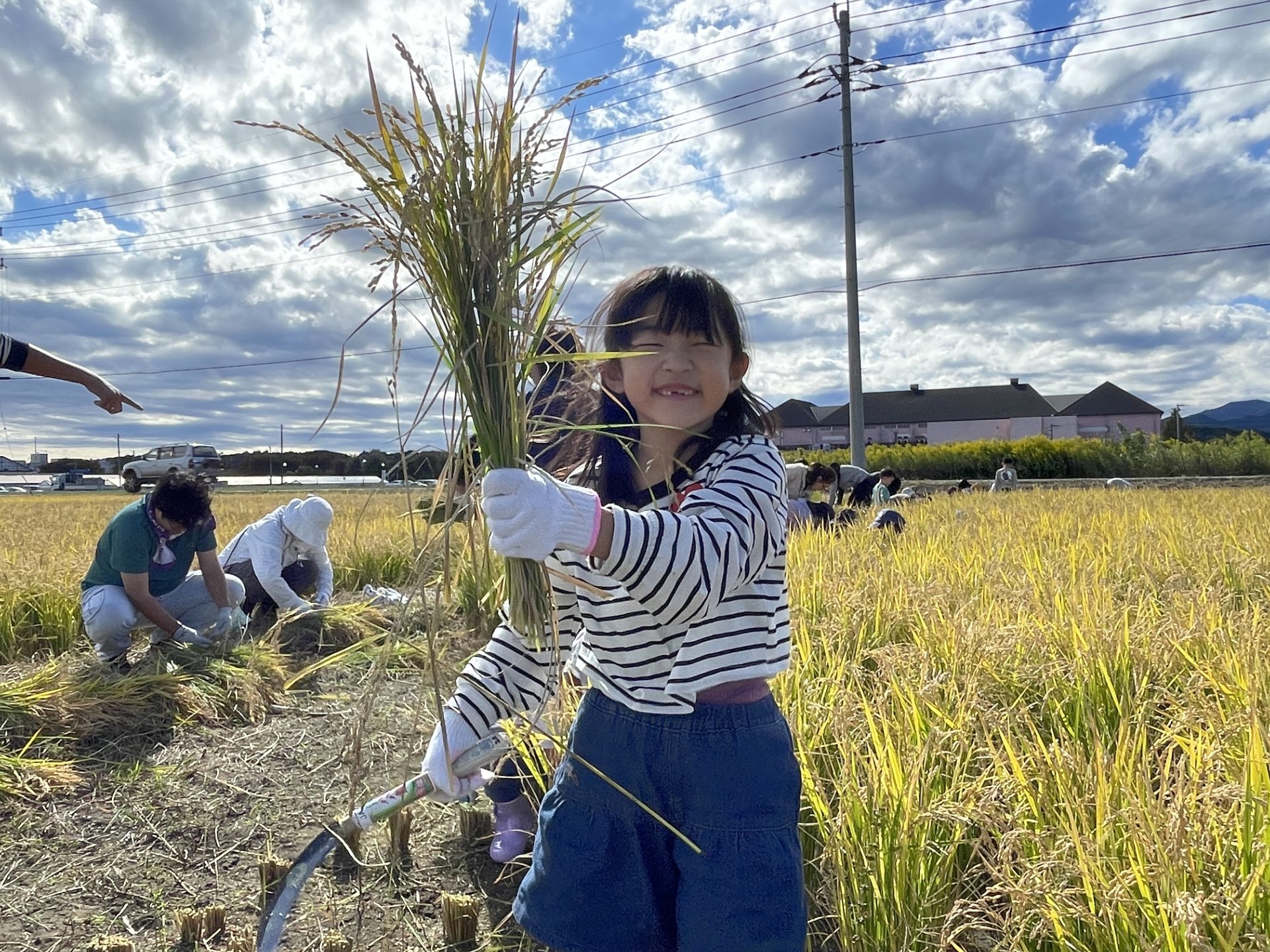 93351田植えから4か月！ついにこの日がやってきた！
