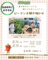 ピーマンを解き明かせ
