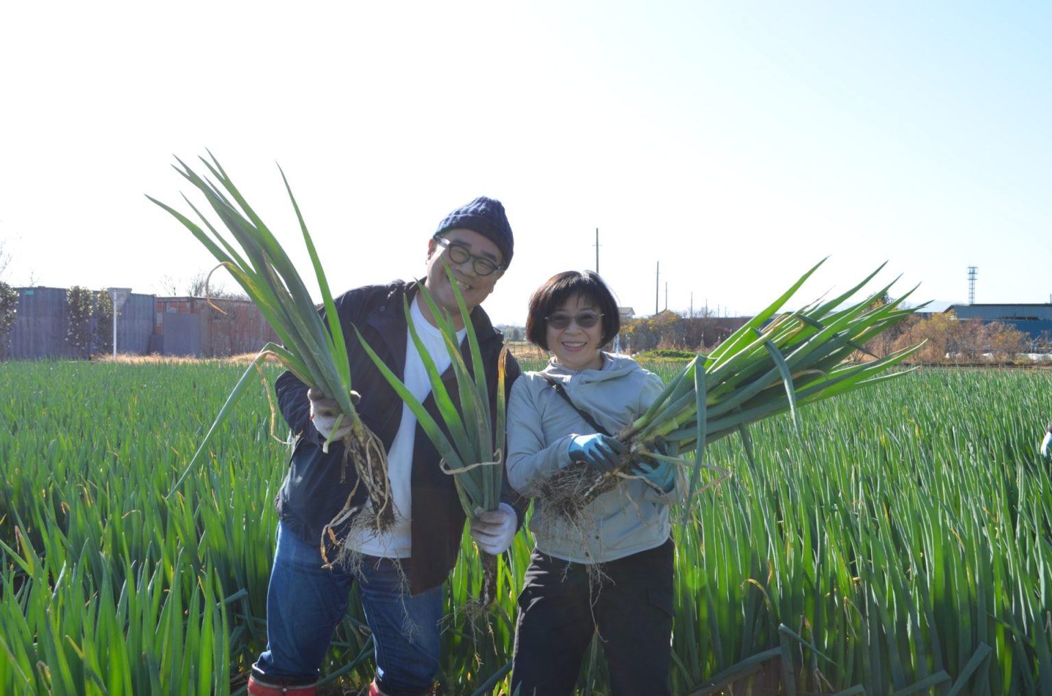 今が旬！深谷ねぎ収穫体験　｜　馬場ファミリー農園