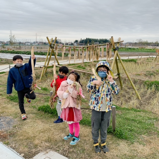 野菜教室　たくあん作り体験｜深谷テラス ヤサイな仲間たちファーム