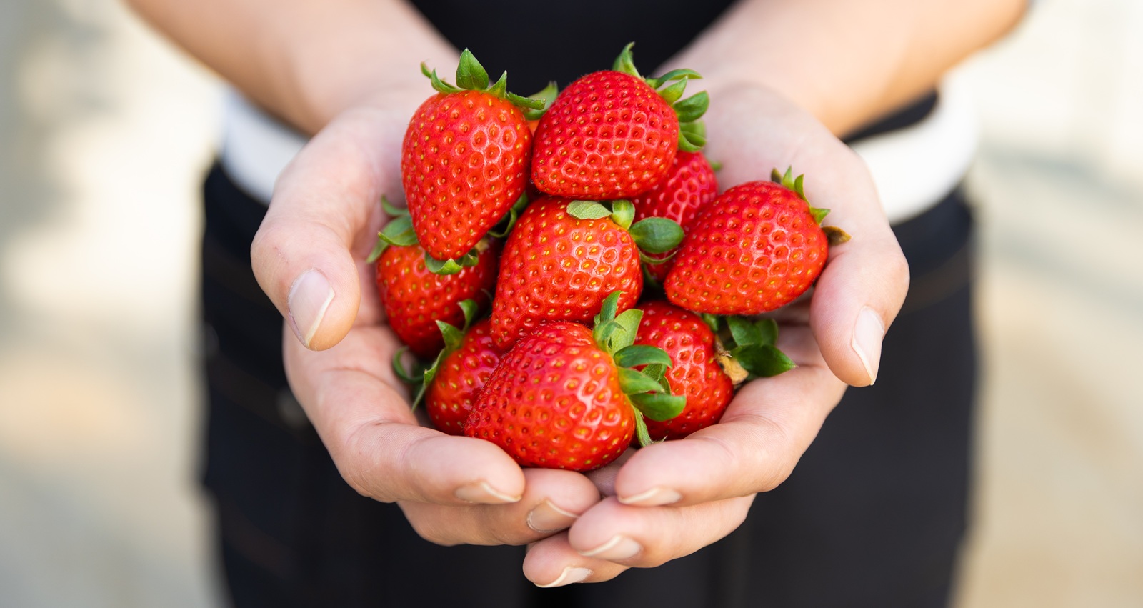 やちよいちごファーム